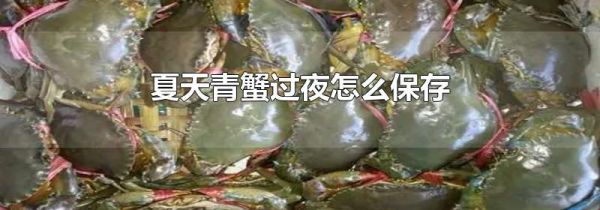 夏天青蟹过夜怎么保存