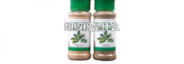胡椒粉是什么