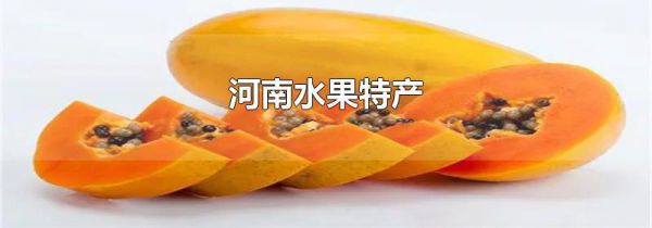 河南水果特产