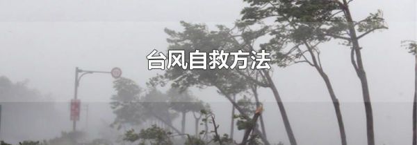 台风自救方法
