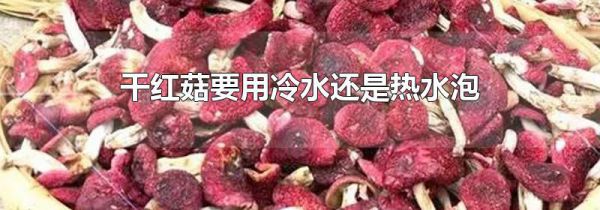 干红菇要用冷水还是热水泡