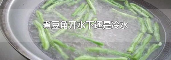 煮豆角开水下还是冷水