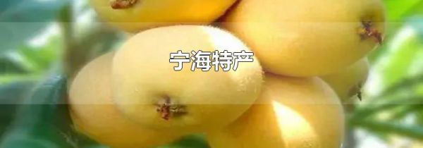 宁海特产