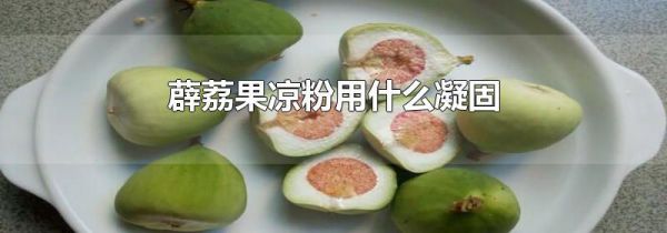 薜荔果凉粉用什么凝固