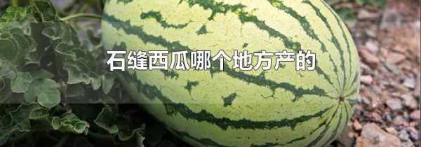 石缝西瓜哪个地方产的