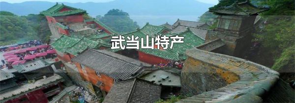 武当山特产