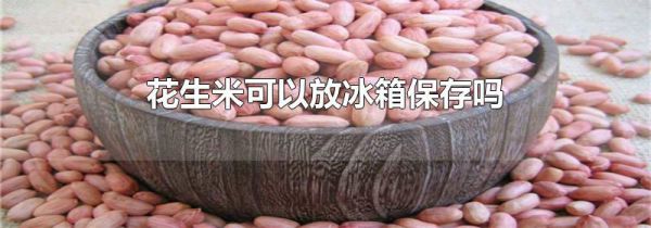 花生米可以放冰箱保存吗