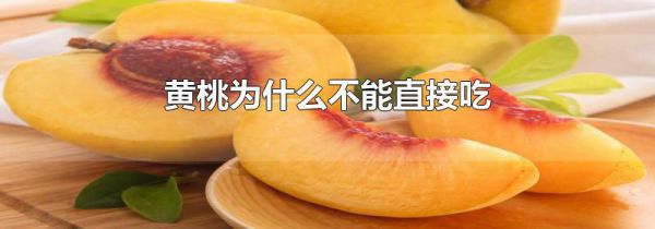 黄桃为什么不能直接吃