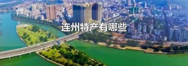 连州特产有哪些