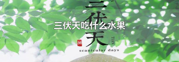 三伏天吃什么水果