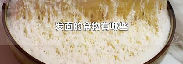 发面的食物有哪些