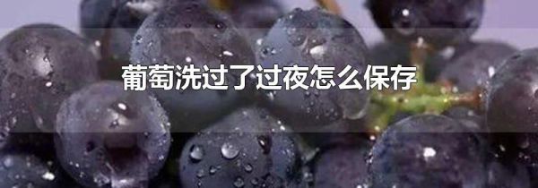 葡萄洗过了过夜怎么保存