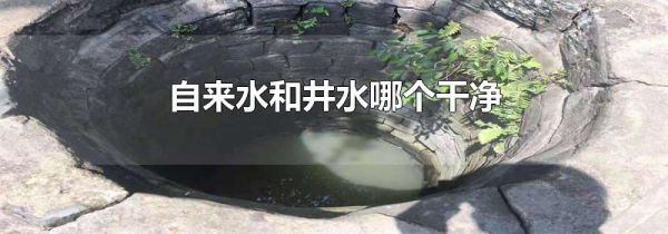 自来水和井水哪个干净