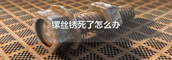 镙丝锈死了怎么办