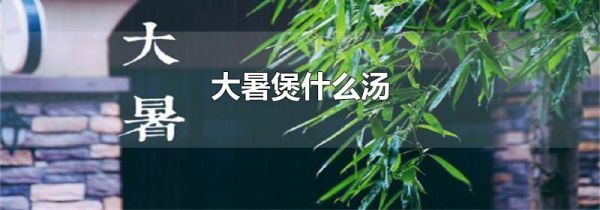 大暑煲什么汤