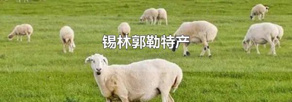 锡林郭勒特产