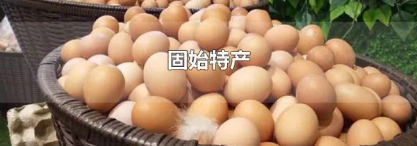 固始特产