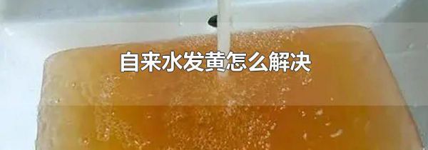 自来水发黄怎么解决