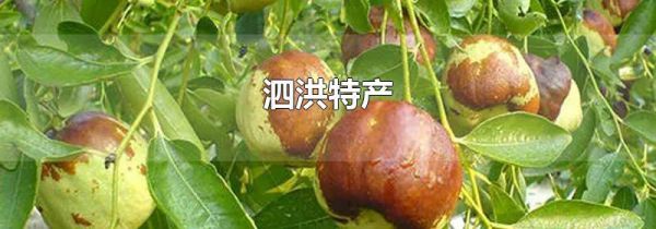 泗洪特产