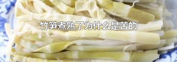 竹笋煮熟了为什么是苦的