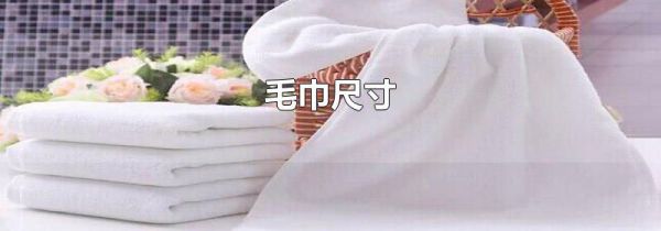 毛巾尺寸