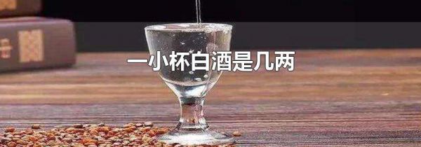 一小杯白酒是几两