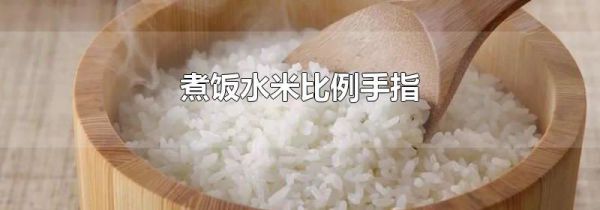 煮饭水米比例手指