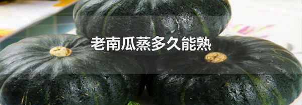 老南瓜蒸多久能熟