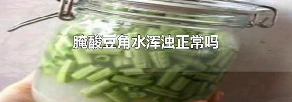 腌酸豆角水浑浊正常吗
