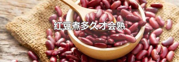 红豆煮多久才会熟