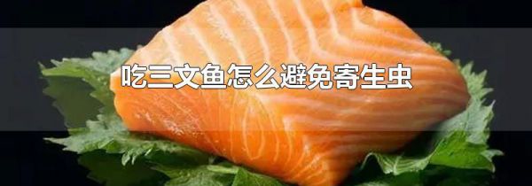 吃三文鱼怎么避免寄生虫