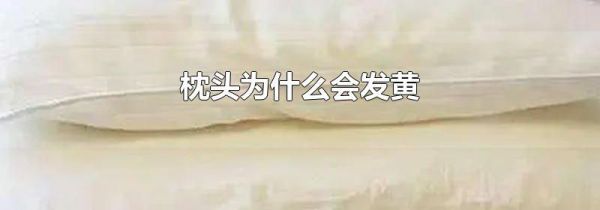 枕头为什么会发黄