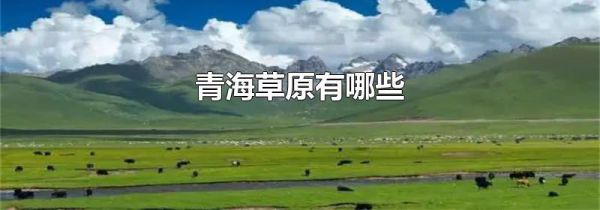 青海草原有哪些