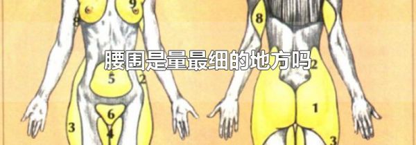 腰围是量最细的地方吗