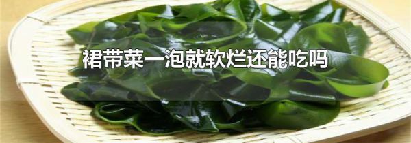 裙带菜一泡就软烂还能吃吗