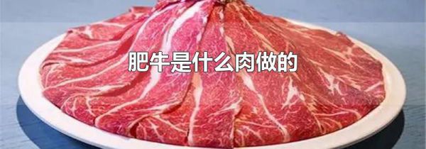 肥牛是什么肉做的