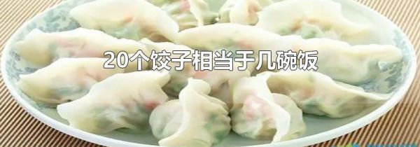 20个饺子相当于几碗饭