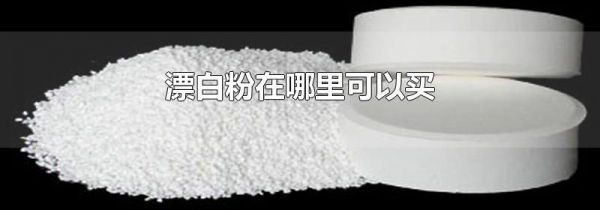 漂白粉在哪里可以买
