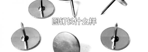 图钉长什么样