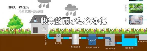 收集的雨水怎么净化