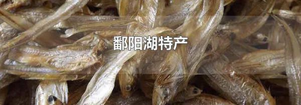 鄱阳湖特产