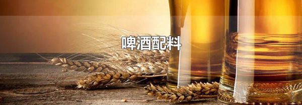 啤酒配料