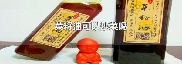 菜籽油可以炒菜吗