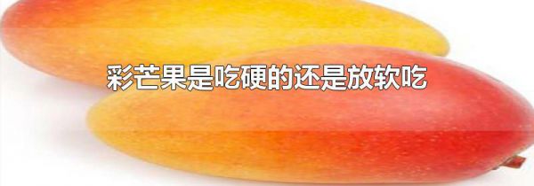 彩芒果是吃硬的还是放软吃