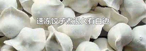 速冻饺子煮很久有白边