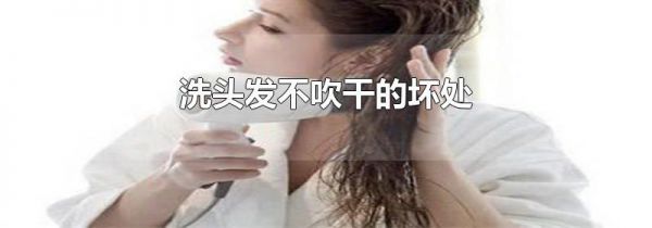 洗头发不吹干的坏处