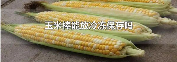 玉米棒能放冷冻保存吗
