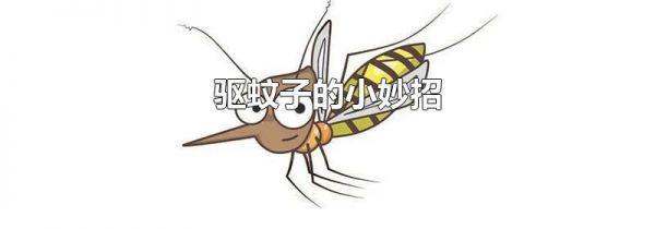 驱蚊子的小妙招