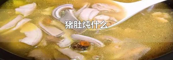 猪肚炖什么
