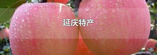 延庆特产